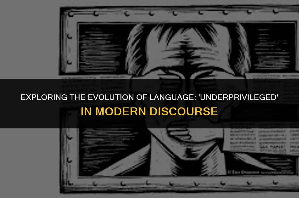 is the word unerprivileged politically correct
