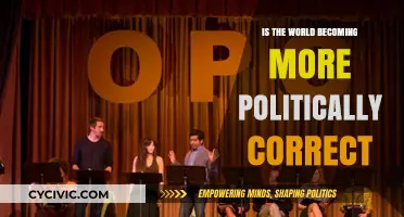 Navigating the Evolving Landscape of Political Correctness: A Global Perspective
