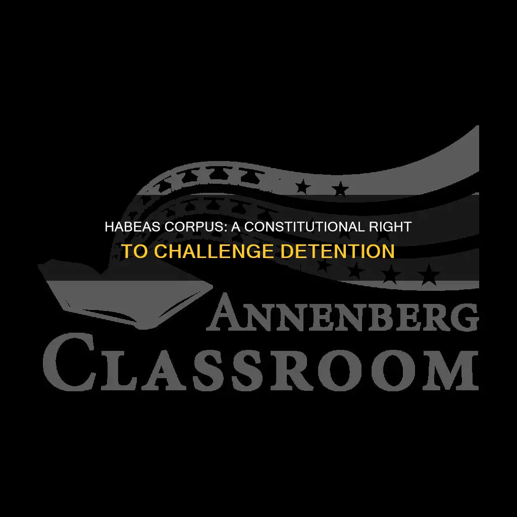 is the writ of habeas corpus in the constitution