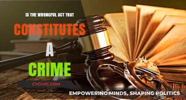 Criminal Acts: What Constitutes a Crime?