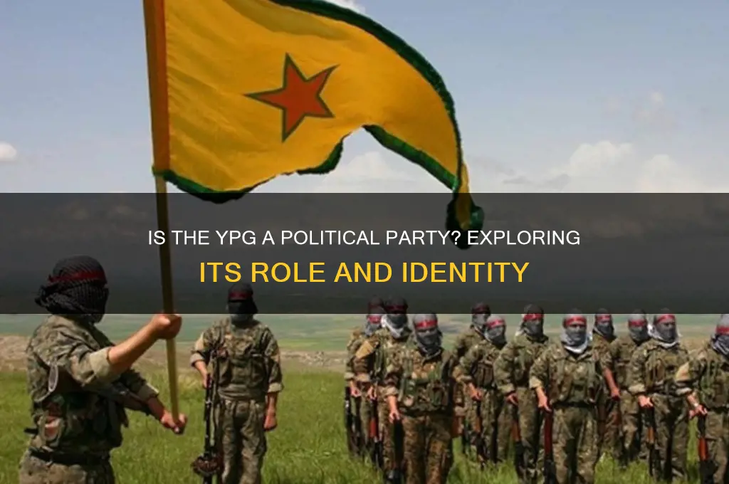 is the ypg a political party