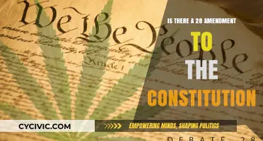 The Constitution and the 28th Amendment: What's the Story?