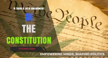 The Constitution and the Elusive 28th Amendment