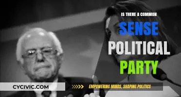 Seeking Common Sense: Does a Pragmatic Political Party Exist?