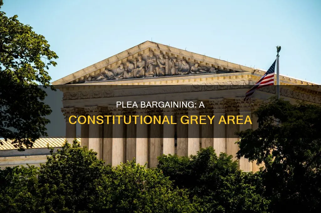 is there a constitution provision for plea bargaining