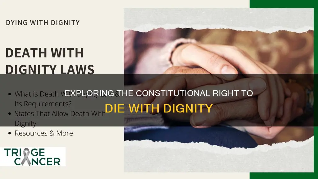 is there a constitutional amendment against assisted suicide