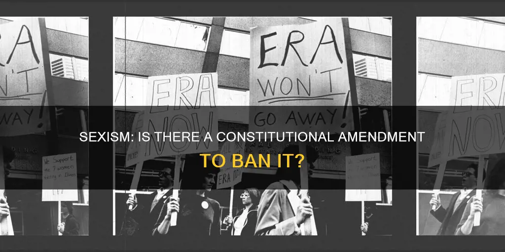 is there a constitutional amendment banning sexism