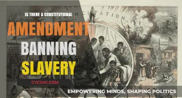 The Constitution's Anti-Slavery Amendment: A Historical Perspective