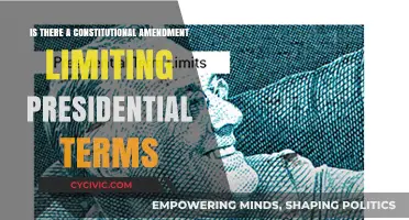 The Presidency: Term Limits and the Constitution