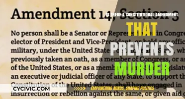 Can the US Constitution Prevent Murders?