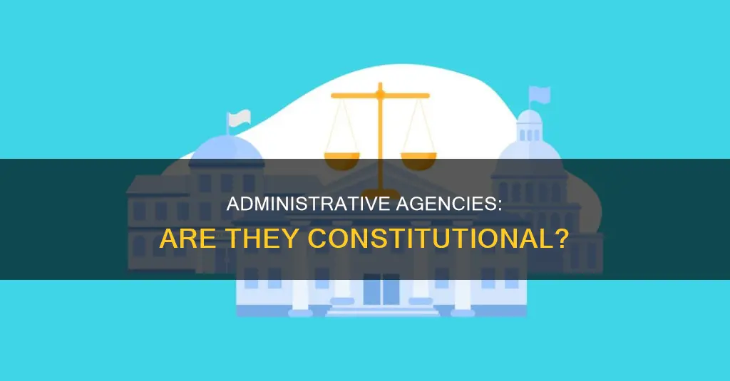is there a constitutional provision establishing administrative agencies