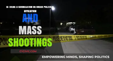 Exploring the Link: Political Beliefs and Mass Shootings