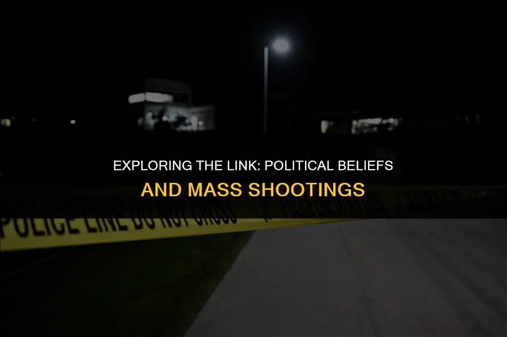 is there a correlation between political affiliation and mass shootings