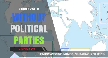Exploring Nations: Can a Country Truly Exist Without Political Parties?
