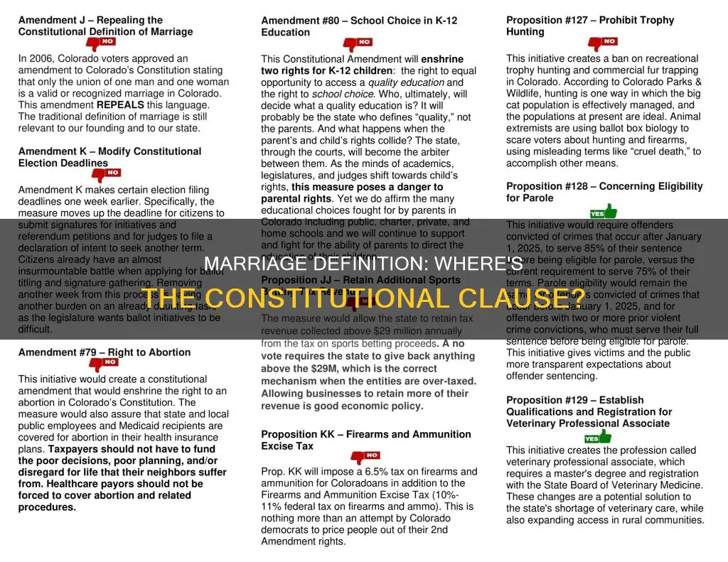 is there a definition of marriage in the constitution