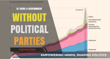 Exploring Governance: Can a Government Exist Without Political Parties?