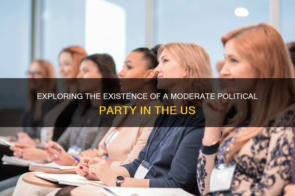 is there a moderate political party in the us