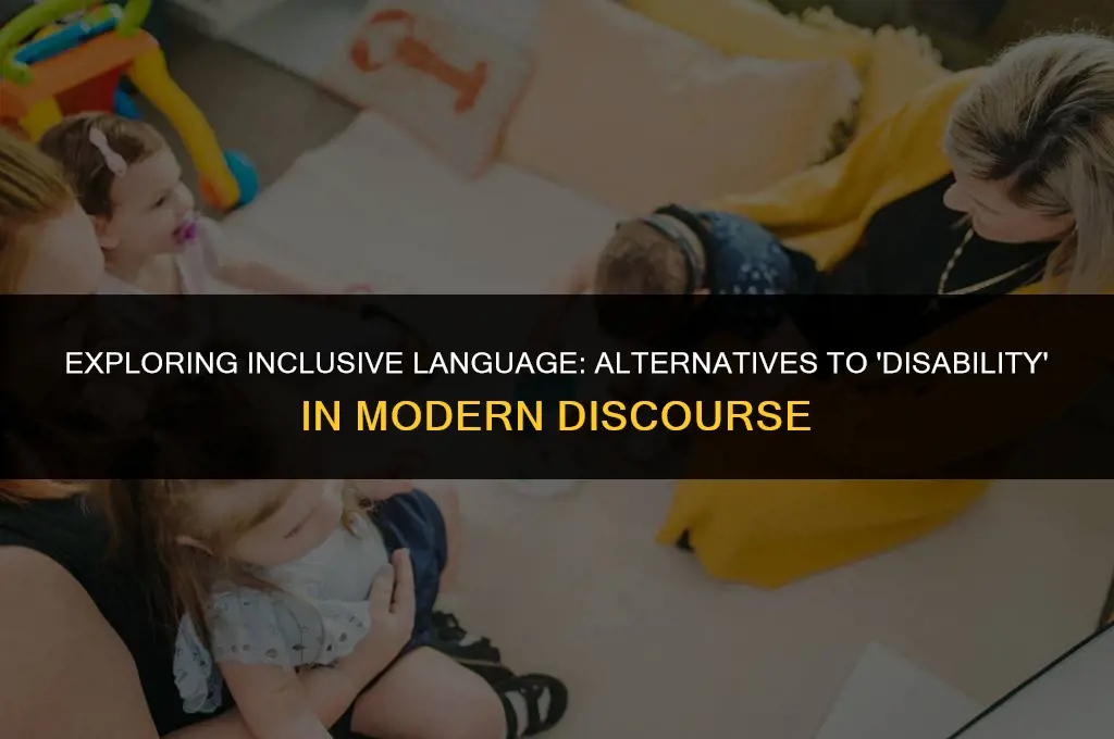 is there a more politically correct term than disability