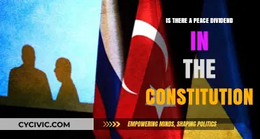 Constitution's Promise: Peace Dividend and a Calm Future