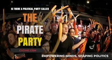 Exploring the Pirate Party: A Global Political Movement for Digital Freedom
