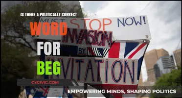 Exploring Euphemisms: The Quest for Politically Correct Language