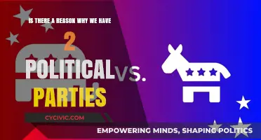Why America's Political Landscape is Dominated by Two Parties
