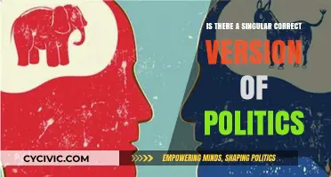Navigating Political Diversity: Is There One Right Way?