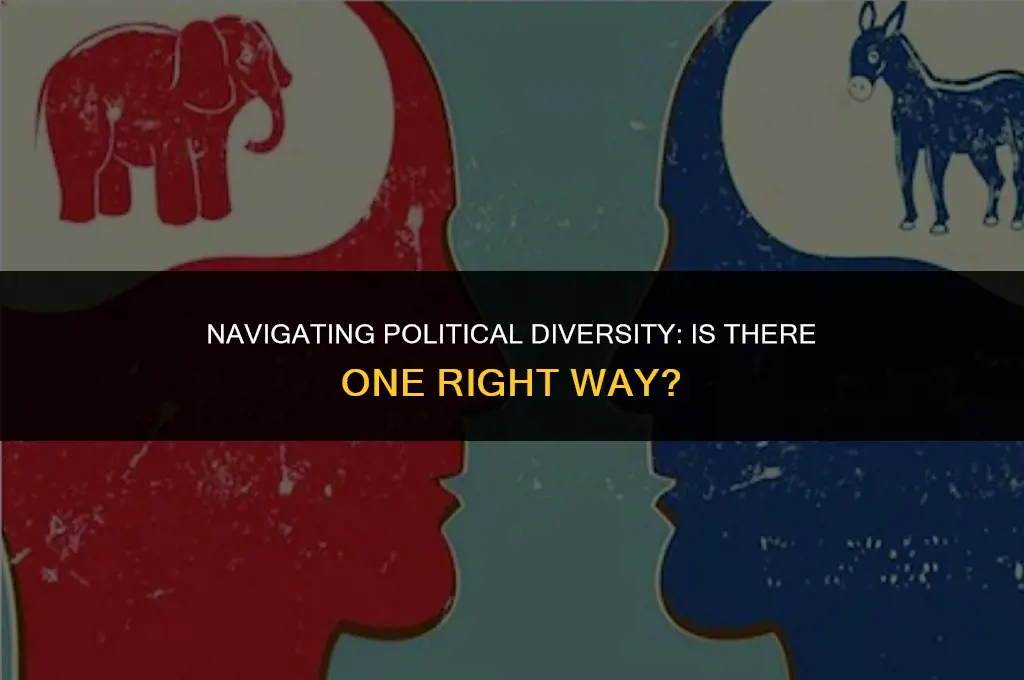 is there a singular correct version of politics
