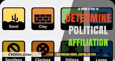 Decoding Political Leanings: The Quest for an Affiliation Test