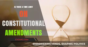 Exploring Constitutional Amendment Time Limits