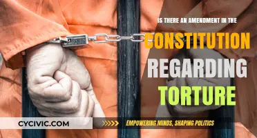 The Constitution and Torture: Is There an Amendment?
