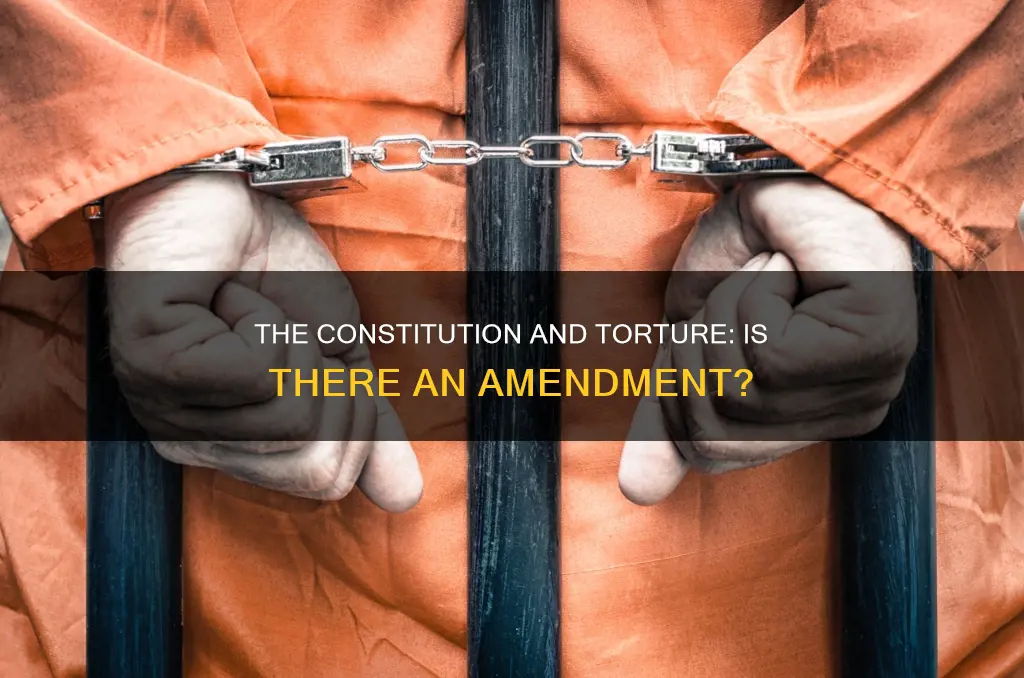 is there an amendment in the constitution regarding torture