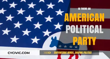 Exploring the Existence of a Singular American Political Party