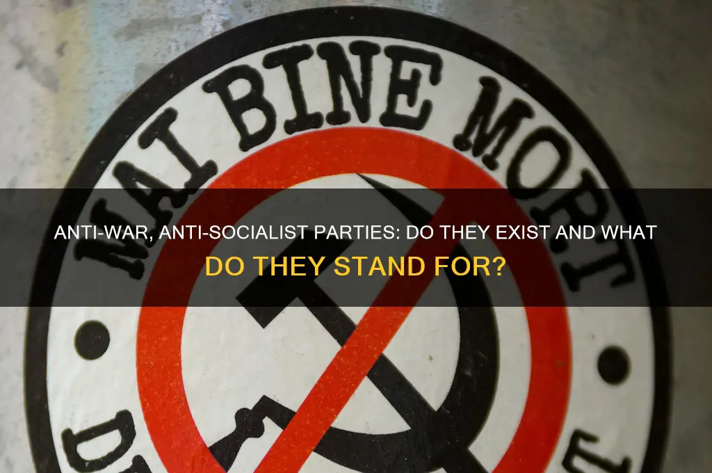 is there an anti war and anti socialist political party