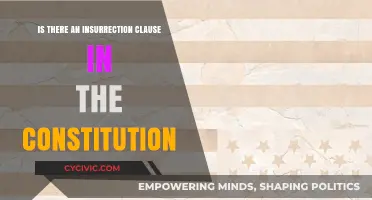 Insurrection Clause: Fact or Fiction?