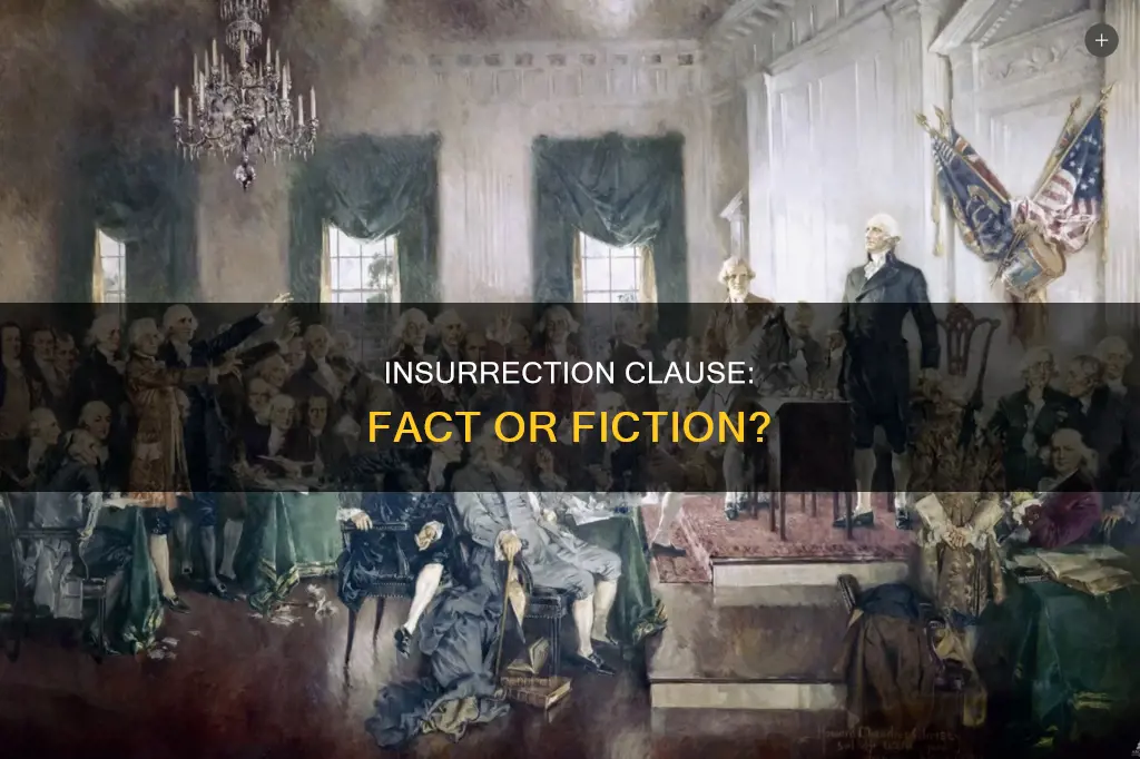 is there an insurrection clause in the constitution