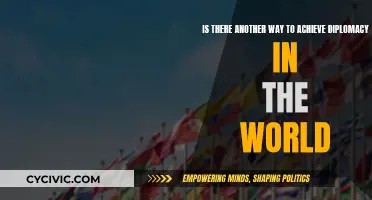 Pursuing Diplomacy: Exploring Alternative Paths to Global Harmony