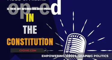 Privacy Rights: The Constitution's Take
