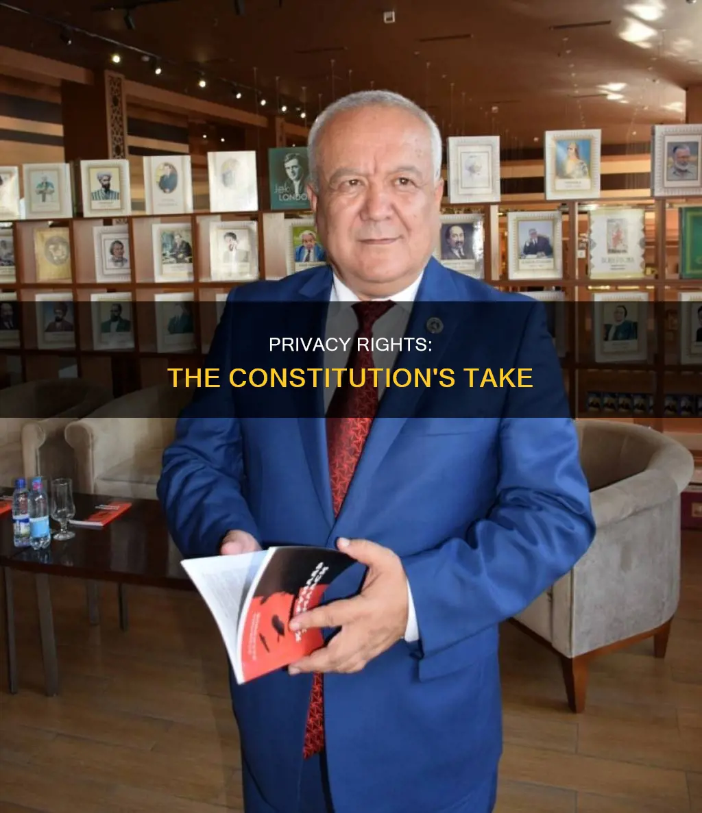 is there any information about privacy in the constitution