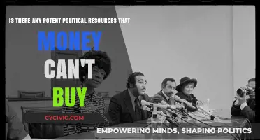 Power Beyond Wealth: Unbought Political Resources Shaping Influence and Governance