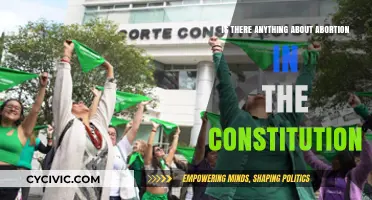 The Constitution and Abortion: What's the Connection?