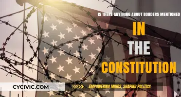 The US Constitution: What About Borders?