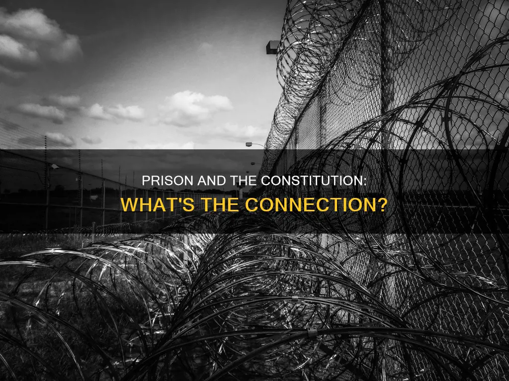 is there anything about prison in the constitution