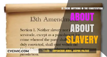 The US Constitution: A Slave to History?