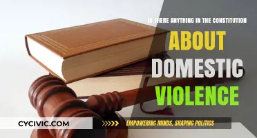 The Constitution and Domestic Violence: What's the Law?