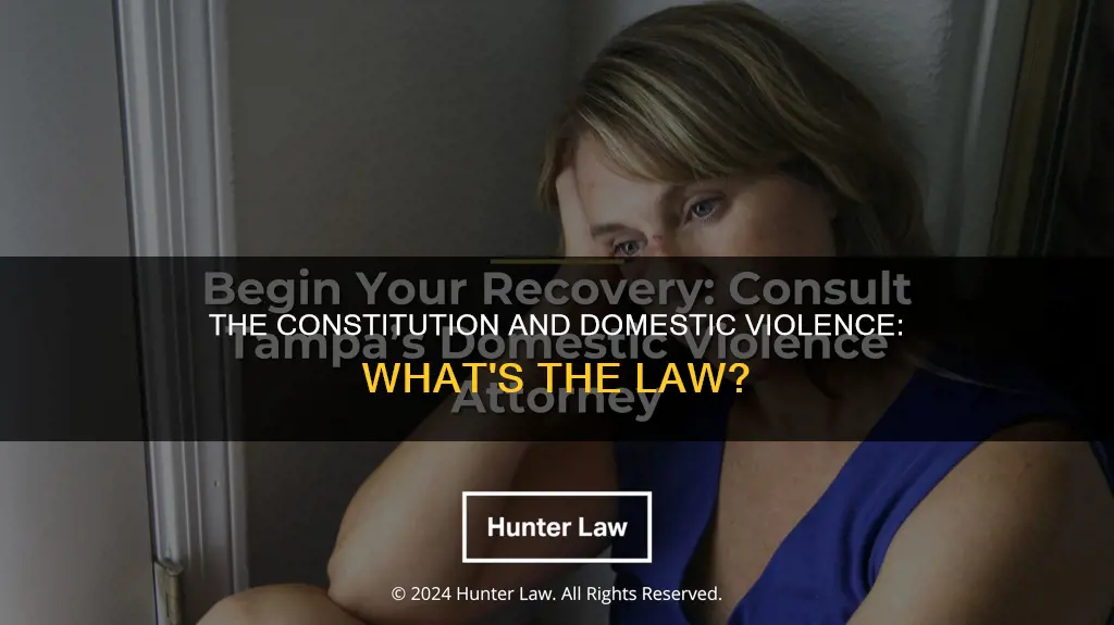 is there anything in the constitution about domestic violence