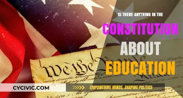 The Constitution's Education Angle: What's the Deal?