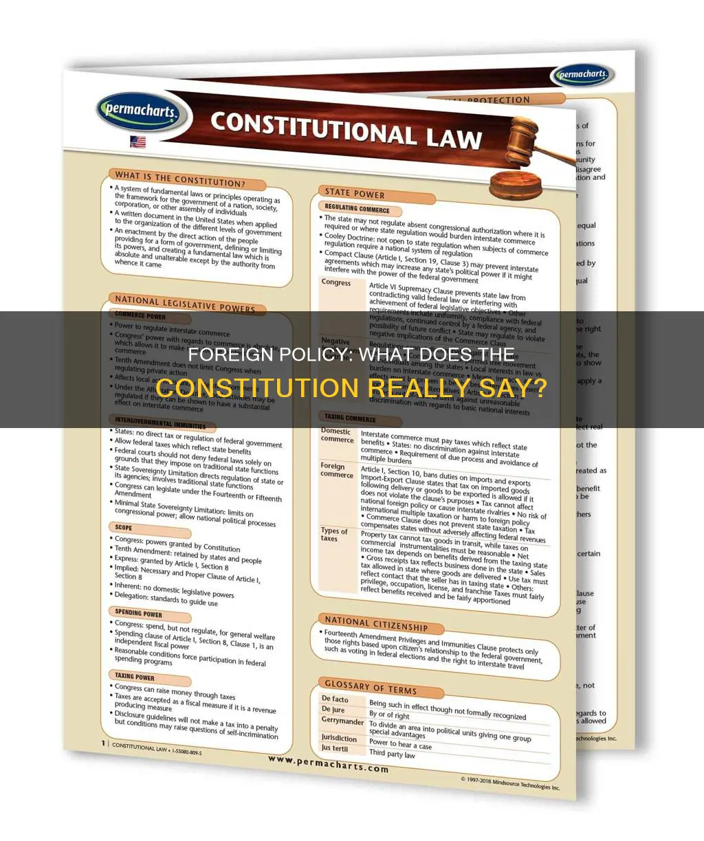 is there anything in the constitution about foriegn policy