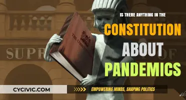 The Constitution and Pandemics: What's the Connection?