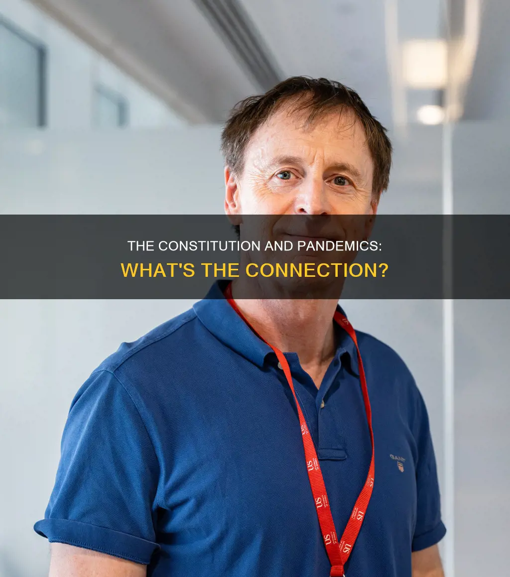 is there anything in the constitution about pandemics